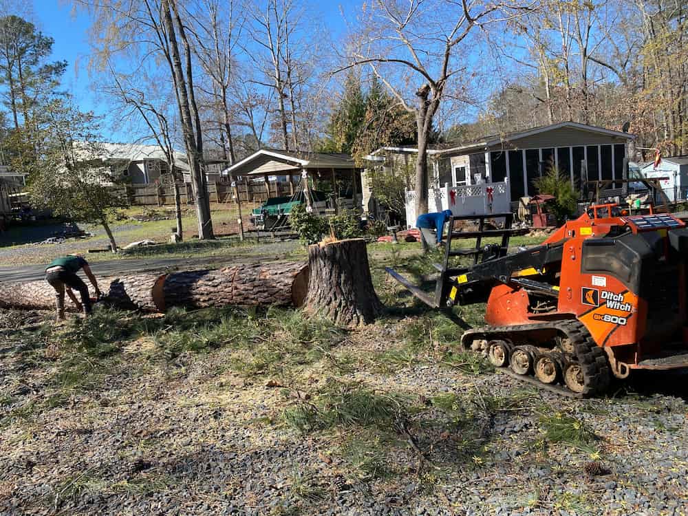 Emergency tree removal services near me