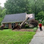 Professional tree removal contractor