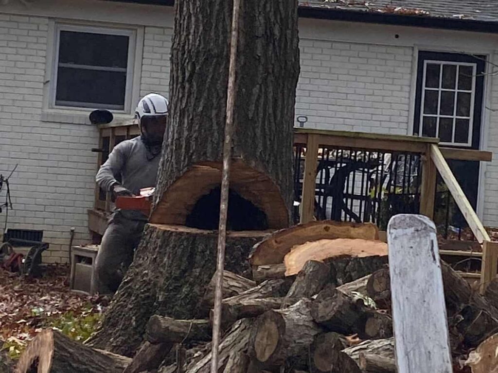 Residential Tree Services Near me