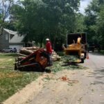 Residential Tree Services ck molina